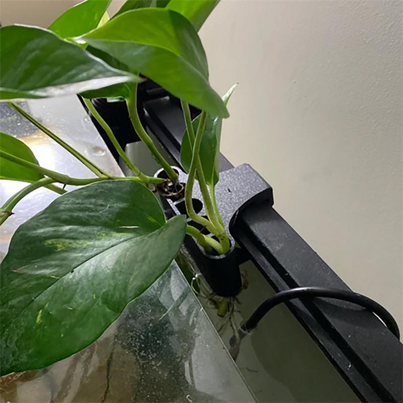معلقة حوض السمك حامل النبات وع - مراجعة Emersed Plants Aquarium وسعره