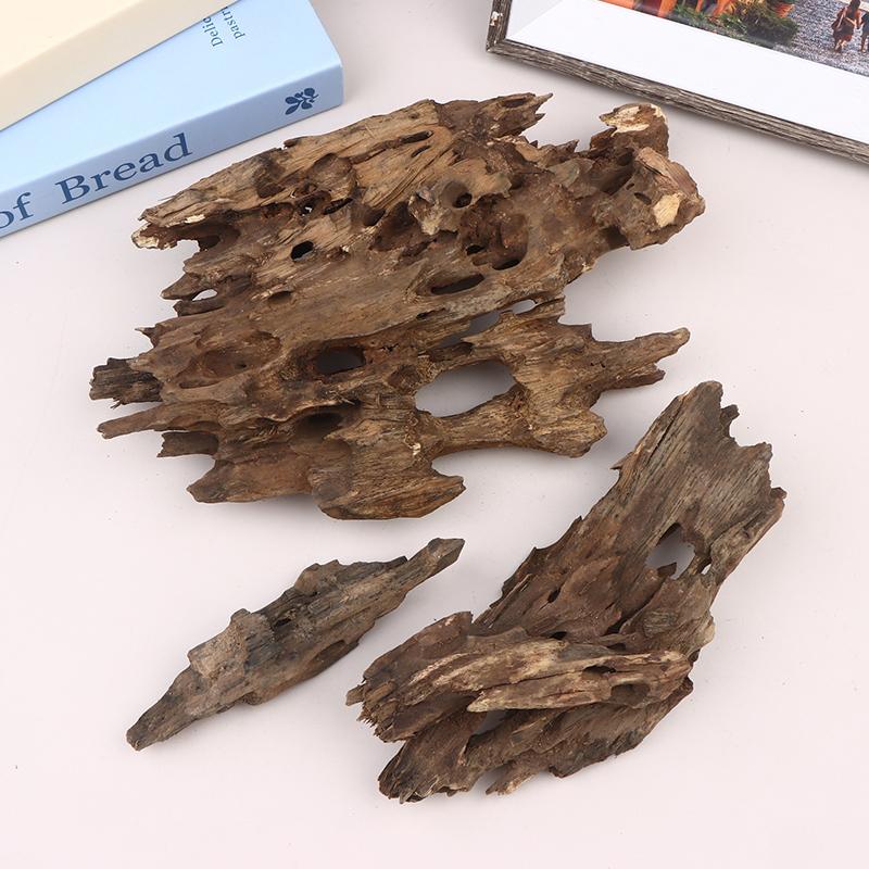 △   ديكور خشبي على شكل جمبري ل - مراجعة Aquarium Planted Substrate وسعره