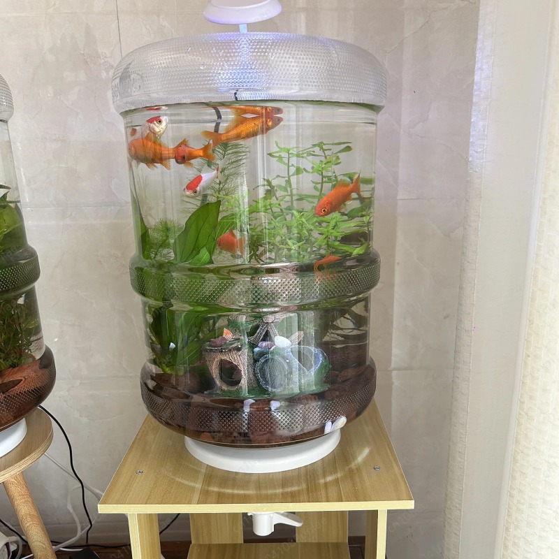إعداد فوري لخزان الأسماك المنز - مراجعة Aquarium Planted Setup وسعره