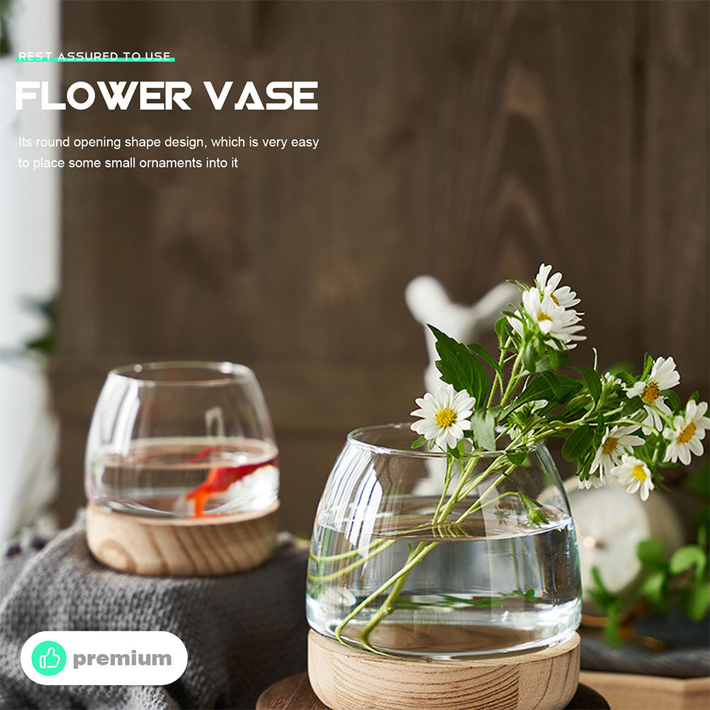 مجموعة واحدة من تيراريوم زجاجي - مراجعة Aquarium Plant Original وسعره