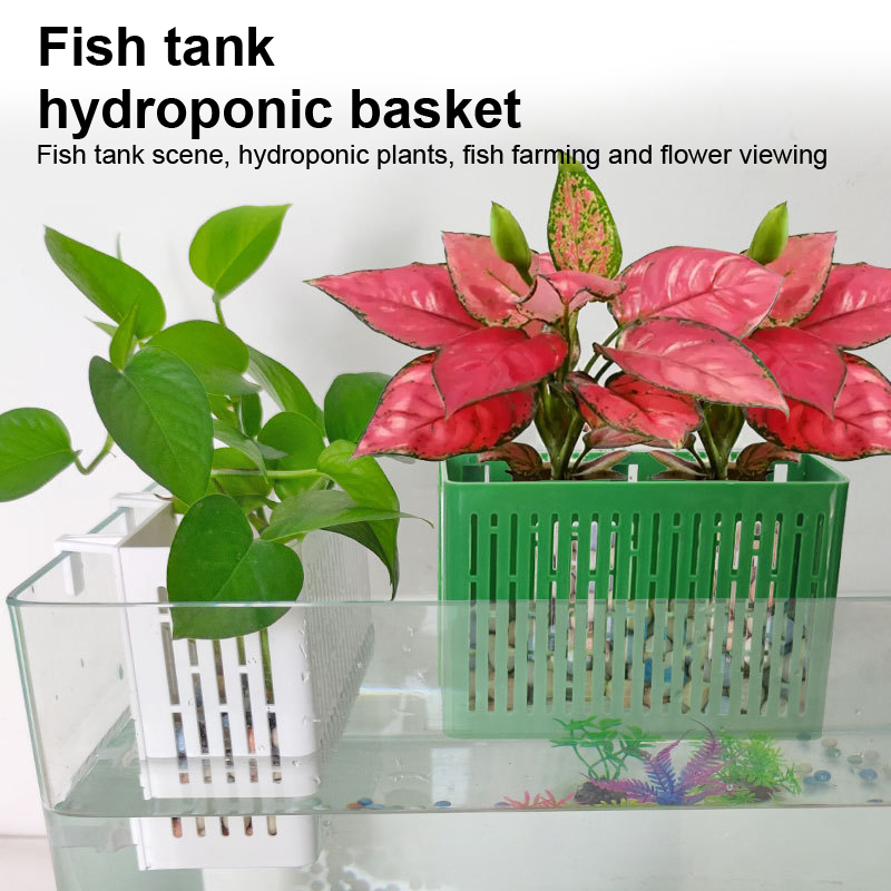 حامل نباتات مائية معلق لحوض ال - مراجعة Aquarium Planted Substrate وسعره
