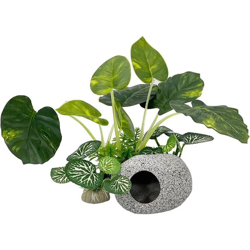 صغيرة تحت الماء العشب حوض للأس - مراجعة Aquarium Planted Background وسعره