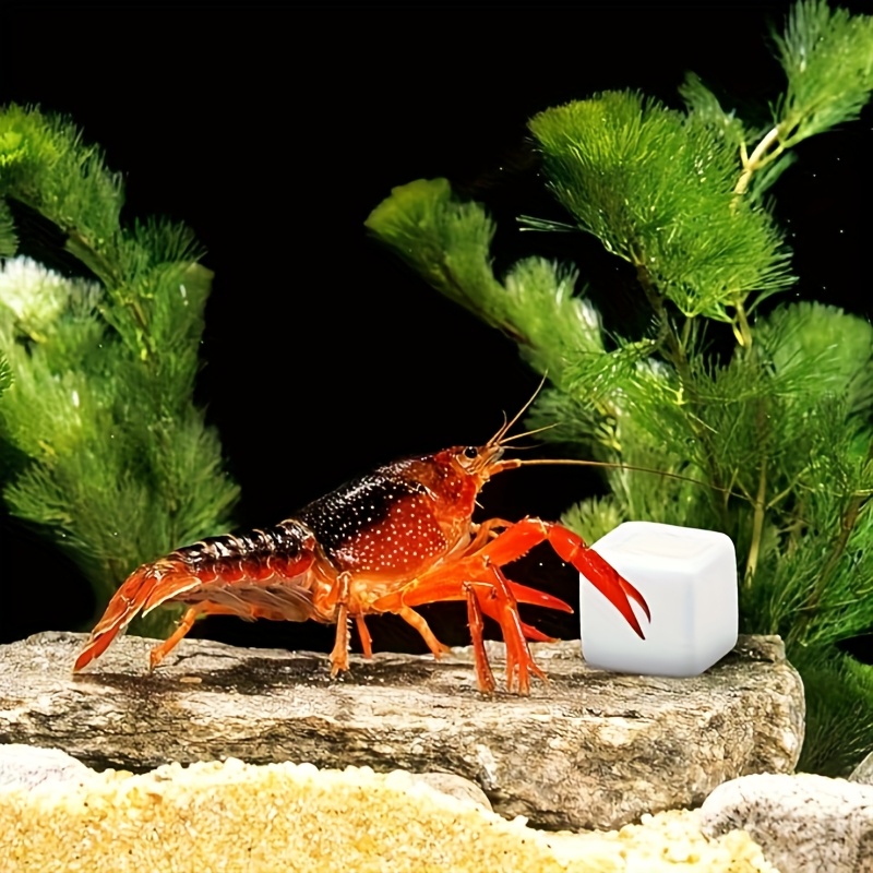 6 قطع من مكعبات الكالسيوم المع - مراجعة Aquarium Plant Liquid Fertilizer وسعره