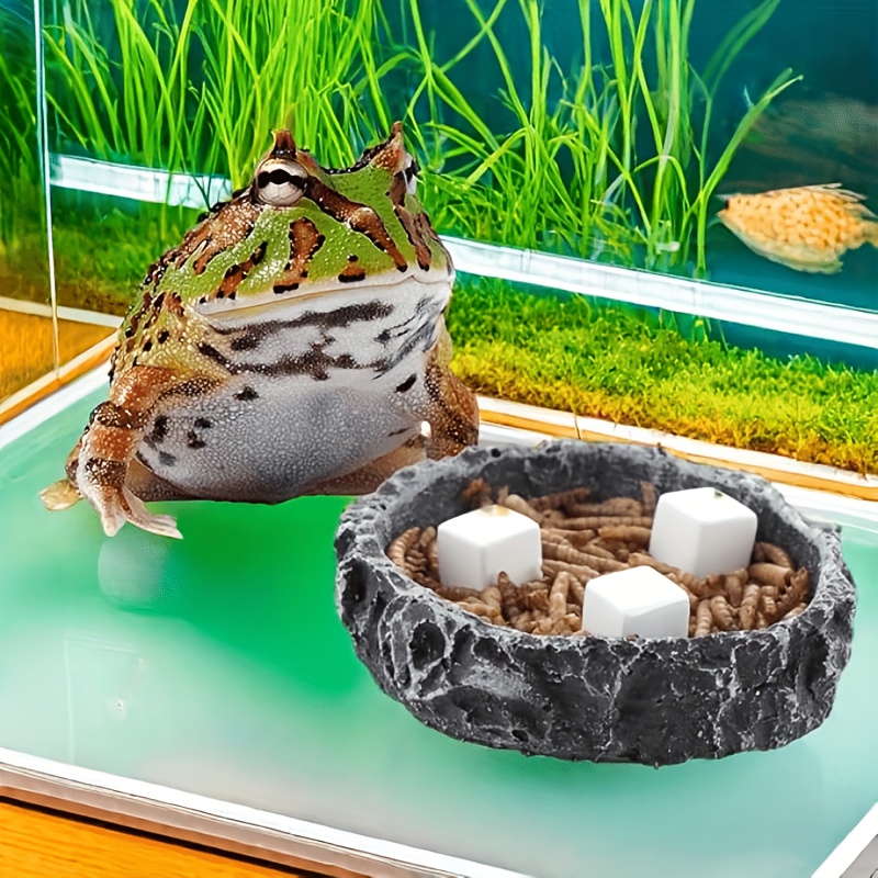 6 قطع من مكعبات الكالسيوم المع - مراجعة Aquarium Plant Liquid Fertilizer وسعره