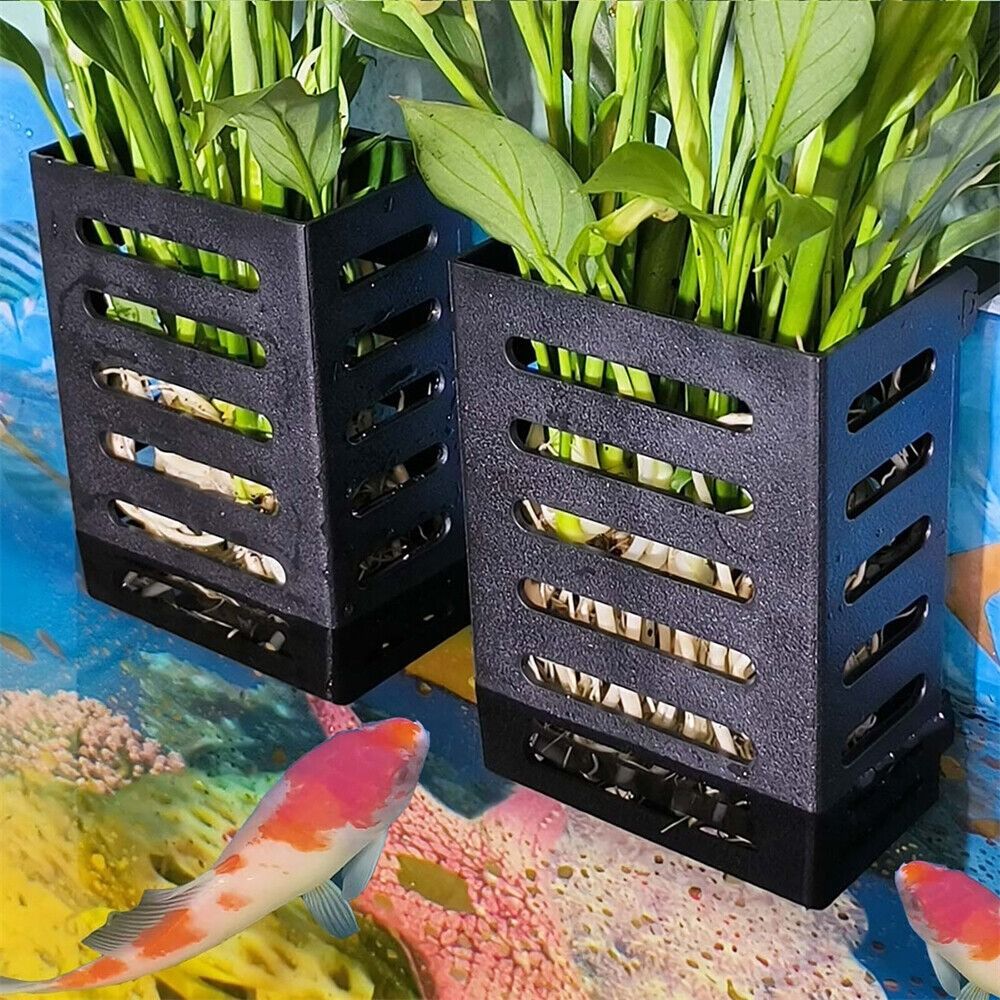 حامل نباتات مائية لحوض السمك،  - مراجعة Emersed Plants Aquarium وسعره